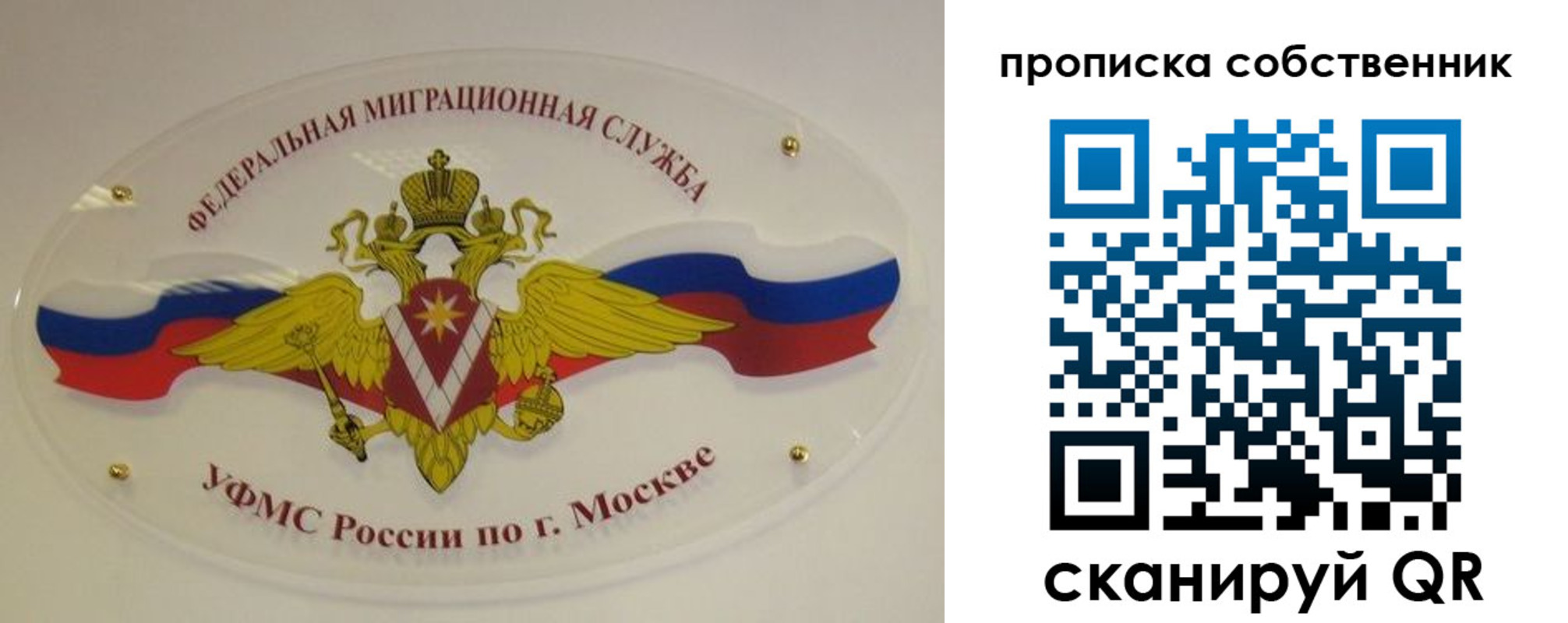прописка 2025 в Завитинске